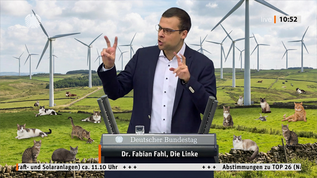 Windkraft und Katzen