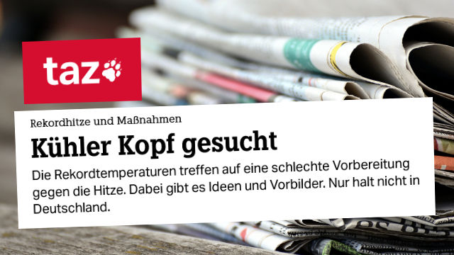 Taz Kuehler Kopf