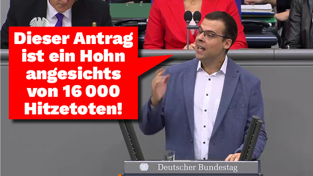 AfD verhoehnt Hitzetote